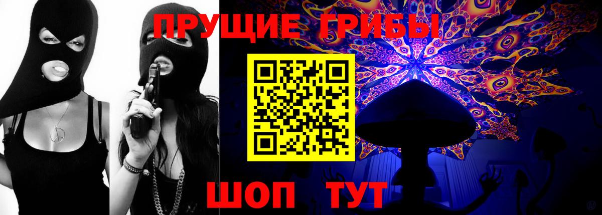 Галлюциногенные грибы MAGIC MUSHROOMS  Вход с VPN  как найти закладки  Будённовск 